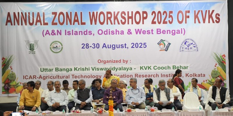 azw2025